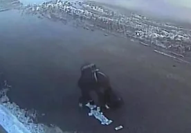 Тамбовда 27 ёшли ўғри ташкилотлардан бирининг офисидан 30