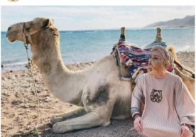 Ўзбек шоу-бизнеси вакилларининг Instagram саҳифаларига