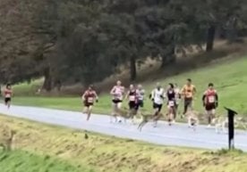 Бу йил Дублин марафонида кутилмаган меҳмонлар - ёввойи