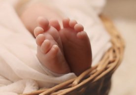 Фото: Google Images Гвинеянинг Маму шаҳридан бўлган 18
