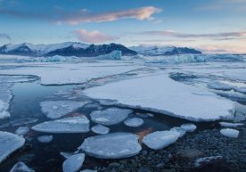 Музликлар эришини қандай жиловлаш мумкинлиги айтилди фото