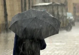 2 мартдан 8 мартгача бўлган ҳафтада об-ҳаво асосан