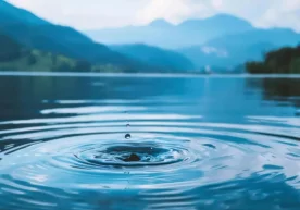 Дунё аҳолиси сони жадал ўсиб бораётган бир пайтда, ҳаёт