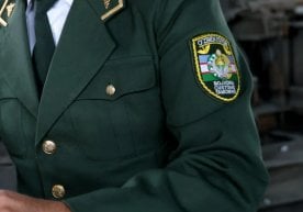 2025 йилнинг биринчи ярми якунларига кўра, давлат