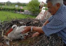 Лайлакнинг муҳаббати… (ёхуд тилсиз жонивор ҳам ишқ-муҳаббатни қадрларкан) фото