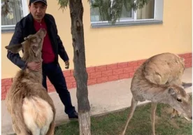 Озодбек Назарбековнинг ҳали ҳеч ким кўрмаган суратларини