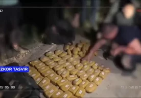 Ҳудудларда қарийб 88 кг гиёҳвандлик моддаларни олаётган шахслар ушланди фото