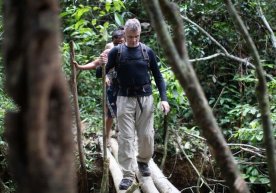 Braziliya changalzorida taniqli britan jurnalisti izsiz yo‘qoldi фото