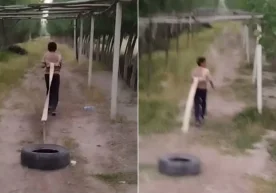 Des vidéos montrant un père dans la région de Ferghana