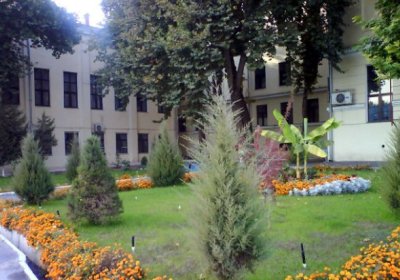 Toshkentdagi Diplomatiya universiteti rektori vazifasidan ozod etildi фото