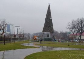 Тошкентда Янги йилнинг бош арчаси ўрнатилмоқда фото