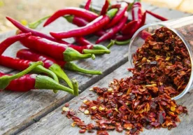 Фото: iStock Чили гармдориси таркибига кирувчи ва унга
