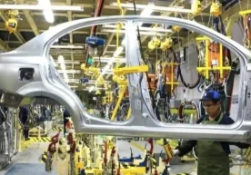 Келаси йилда Сирдарё вилоятининг Сирдарё туманида хитойлик