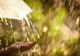 Жорий йилнинг 10–13 февраль саналарида Ўзбекистон ҳудуди