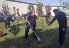 Давлатимиз раҳбари Ш.М.Мирзиёев раислигида ўтказилган