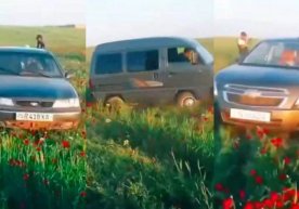 Қашқадарё вилоятининг Кўкдала туманида табиатга нисбатан