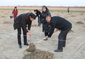 Ўзбекистонда кам таъминланган оилаларга ўрмон фонди ерлари