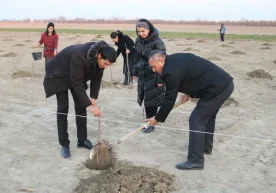 Ўзбекистонда кам таъминланган оилаларга ўрмон фонди ерлари