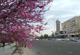 2025 йилги апрел қуруқ об-ҳаво билан бошланади, дея хабар