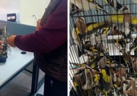 Тошкент вилоятидаги “Навоий” чегара божхона постида