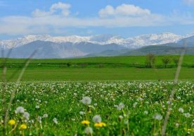Баҳорнинг сўнгги ҳафтаси юртимиз аҳолиси учун ҳақиқий