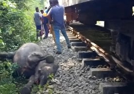 A train derailed after hitting elephants in Sri Lanka фото