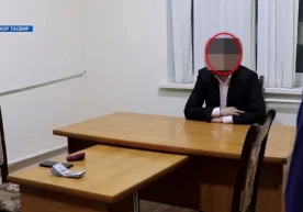 Сирдарё вилоятида коррупция, Фарғона вилоятида фирибгарлик
