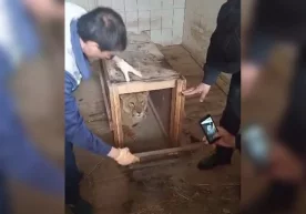 Фото: Экология ва атроф-муҳитни муҳофаза қилиш давлат