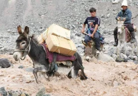 Qamchiq dovonidan o‘tib borayotganingizda yo‘l chetida