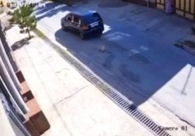 Тошкент вилоятида содир бўлган нохуш ҳолат жамоатчилик