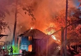 Новосибирск шаҳридаги Р. А. Шило номидаги йирик ҳайвонот