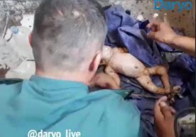 Surxondaryoning Denov tumani, «Lolazor» bozorida