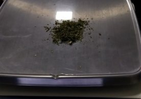 Bojxonachilar tomonidan giyohvandlik moddalarining