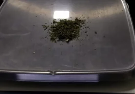 Божхоначилар томонидан гиёҳвандлик моддаларининг ноқонуний