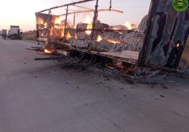 Buxoro viloyati Peshku tumanida paxta ortilgan yuk