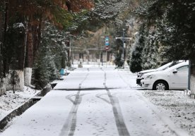 Ўзгидромет 12-15 декабрь кунлари кутилган об-ҳаво ҳақида