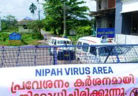 Ҳиндистонда хавфли «Нипах» вируси билан боғлиқ биринчи