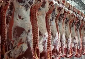 Қозоғистонда гўшт нархи қўшни давлатларга, айниқса