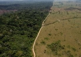 БМТ маълумотларига кўра, иқлим ўзгариши туфайли Ер юзидаги