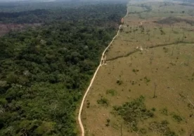 БМТ маълумотларига кўра, иқлим ўзгариши туфайли Ер юзидаги