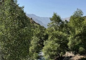 14-ноябр куни Ўзбекистон ҳудудининг аксар қисмда ҳаво