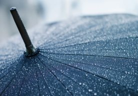 Шу ҳафтанинг шанба ва якшанба кунлари Тошкент шаҳрида ҳаво