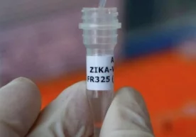 Puerto-Rikoda Zika virusi sababli favqulodda vaziyat kiritildi фото