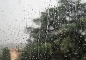 Бугун, 29 март куни Тошкентда қисқа ёмғирлар кузатилиши