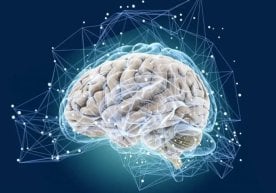 Норвегиянинг Осло университети олимлари томонидан