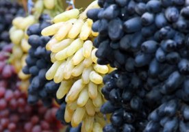 2025 йил сарҳисобига кўра, Ўзбекистон Россия Федерациясига