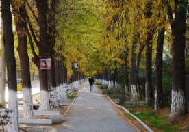 Ўзгидромет эртага, 17 октябрь куни, мамлакат бўйлаб