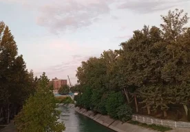 “Яшил лойиҳа” институти томонидан ишлаб чиқилган