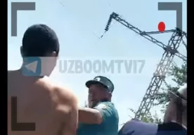Фото: ЎзА 2019 йилнинг 11 июнь кунидаги Жиззах вилояти