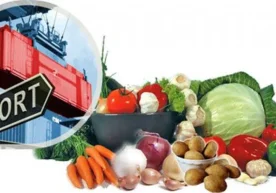 2025 йил охирига келиб Ўзбекистон илк бор 3,2 миллиард